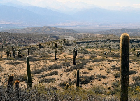 Panorama argentin - 15