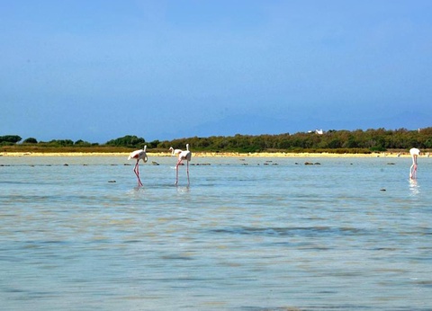 Camping Bella Sardinia, 3* - 52