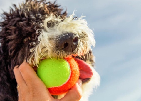 Gitavillage Club degli Amici - 20