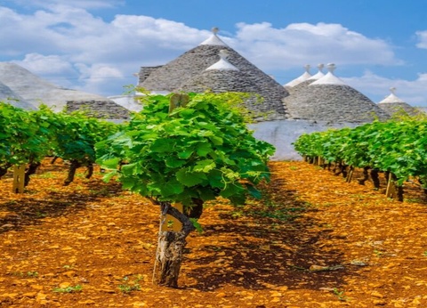 Autotour Les Pouilles : escales bucoliques et gourmandes - 6
