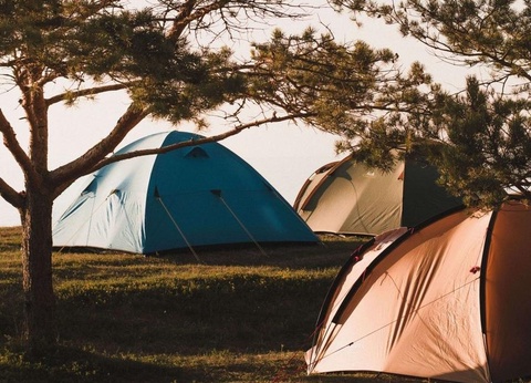 Camping Liberté Lacanau, 3* - 5