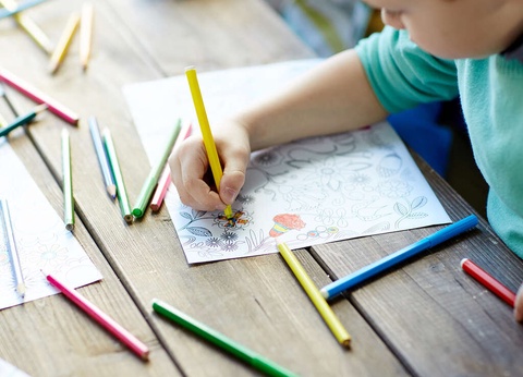 ÉVasion en famille à Mooslargue avec entrée à Europa Park (6 pers. max - à 1h30 du parc) - 3* - 15