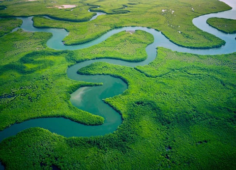 Circuit Sud Sénégal - 5