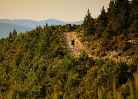 Camping Delle Rose, 4* - 40