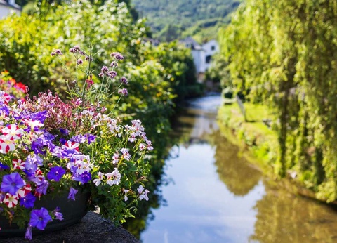 ÉVadez-vous dans les Ardennes - 4* - 17