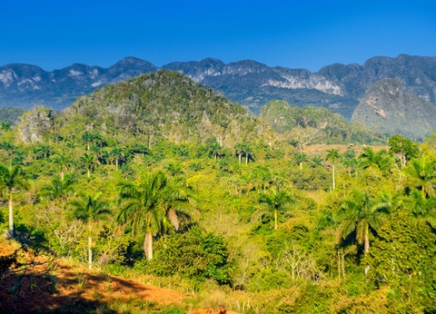 Circuit Perle des Caraïbes (circuit privatif) - 8