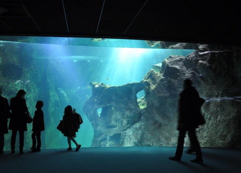 Flower Camping L'Abri-Côtier, 3* - 245