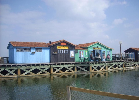 Camping Les Floralies, 4* - 24