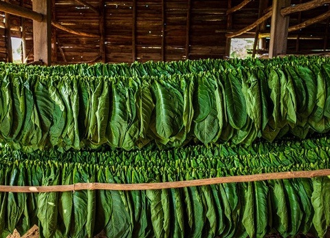 Circuit Beautés cubaines - 19