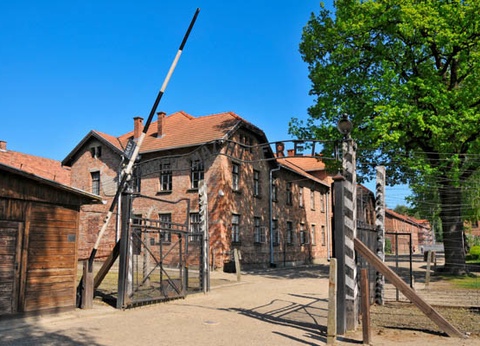 Circuit Toutes les richesses de Pologne 3* - 9