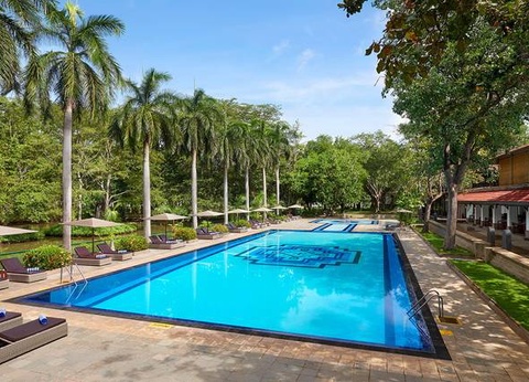 Circuit Carpe Diem au Sri Lanka - 7