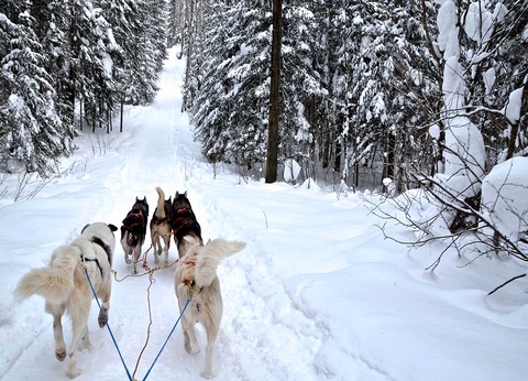 Circuit Retour aux sources 4* - 10