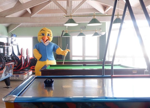 Camping Sol a Gogo, 4* - 18