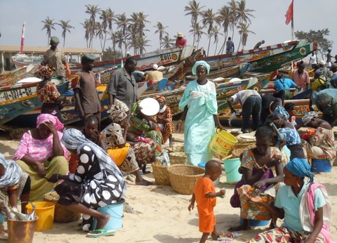 Découverte du Sénégal - De Dakar à Dakar - 3