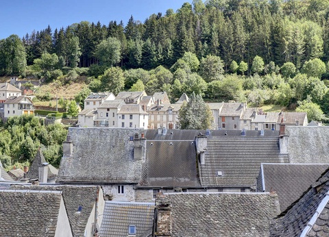 Saveurs d'Auvergne et bien-être absolu - 4* - 10