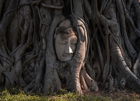 THAÏLANDE | 10j/7n - Circuit 