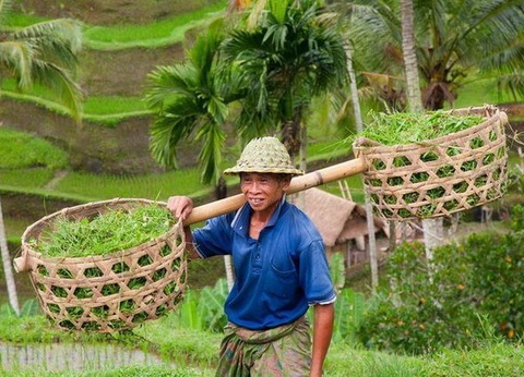 Circuit Bali Essentiel - 10