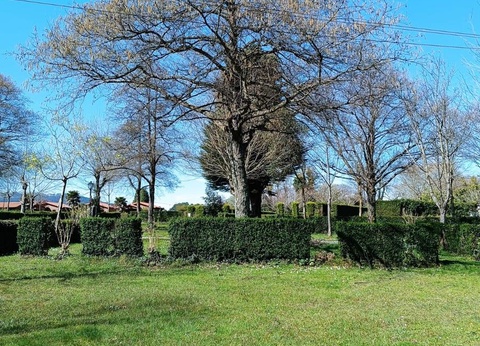 Wecamp Cudillero, 3* - 6