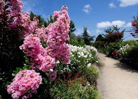 Camping Landes Bleues, 4* - 47