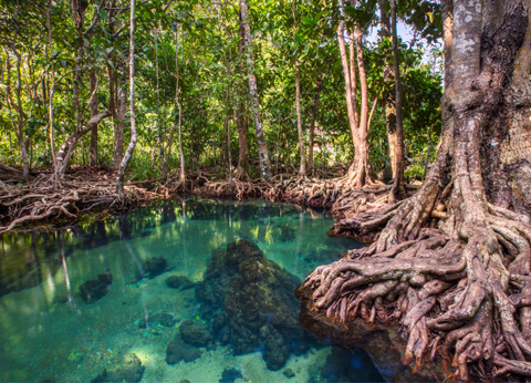 Combiné Bangkok, Krabi et Phuket 4* - 12