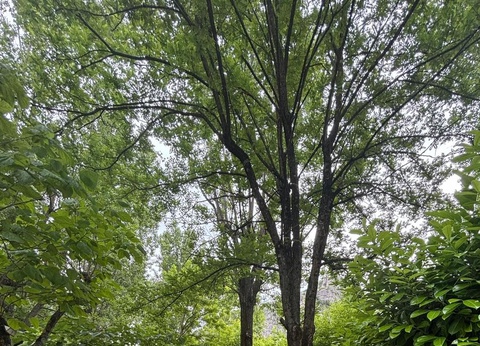 Camping Le Pradal, 4* - 18