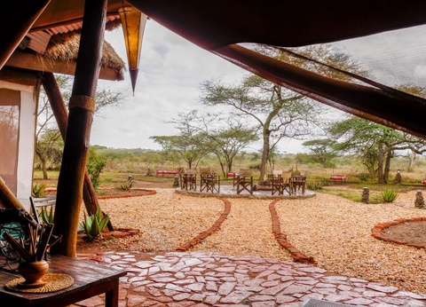 Safari Privatif - En Terre Sauvage - 27