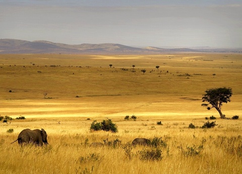 Safari Féeries d'Afrique - 13