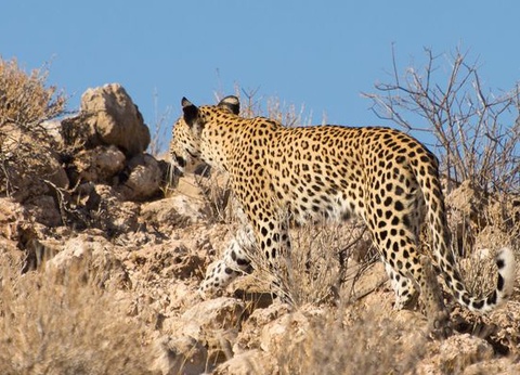 Splendeurs de Namibie et Séjour Chutes Victoria 15J/12N - 14