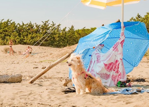 Gitavillage Le Marze - 48