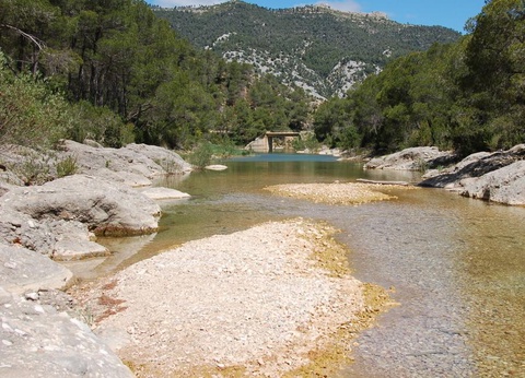 Camping Terra Alta, 3* - 16