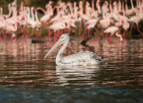 Circuit Lumières de la Savane Africaine - 3