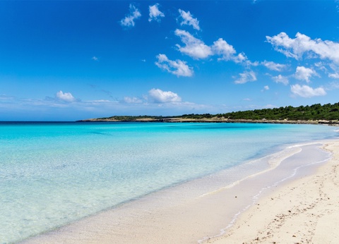 Hôtel Universal Hôtel Laguna 4* - 17