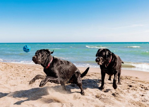 Gitavillage Club degli Amici - 36