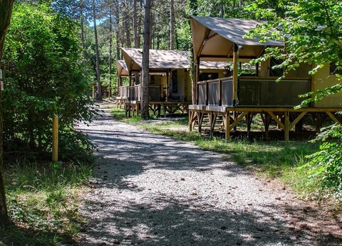 Flower Camping la Pinède, 4* - 11