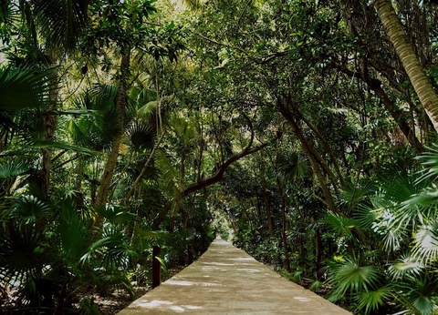 Club Marmara Catalonia Playa Maroma - Vols Air France ***** - 57