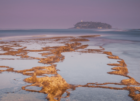 Circuit L'essentiel du Sri Lanka et plage de Beruwela - 12
