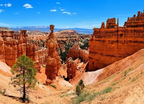 American Ouest + Ext. New York - 13J/11N - 2