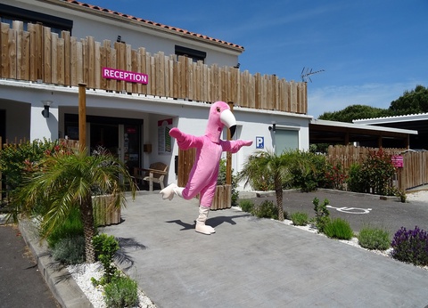 Camping Les Flamants Roses 4* - 15