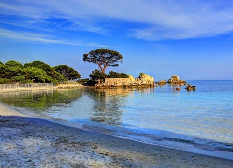 Camping Campo di Liccia, 3* - 85