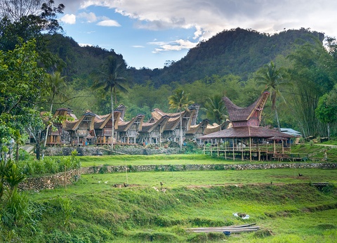 Circuit Découverte de l'Indonésie - 11