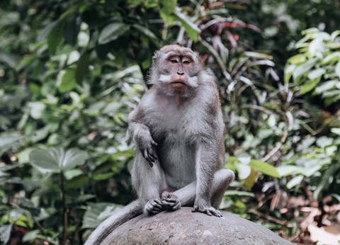 Circuit Aventure indonésienne : immersion à Java et Bali - 8