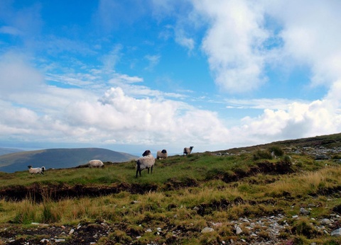 Autotour Road Trip Irlandais - Hôtel 3* - 5