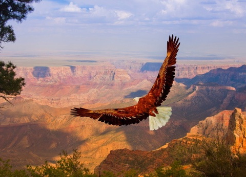 Circuit Beautés de la Côte Ouest Américaine - 11