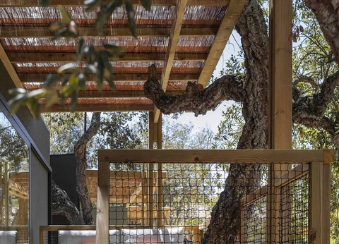 Wecamp Santa Cristina - 15