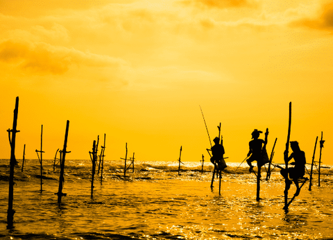 Circuit Trésors du Sri Lanka en Privatif et plage à Pasikudah 3* - 14