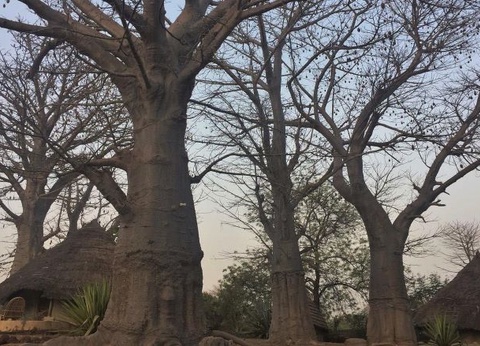 Circuit Immersion au pays de la Teranga - 12