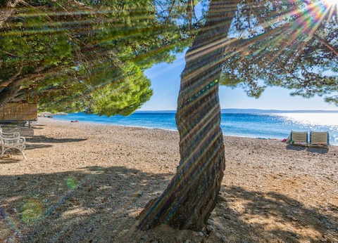 Hôtel Bluesun Neptun 3* - 14