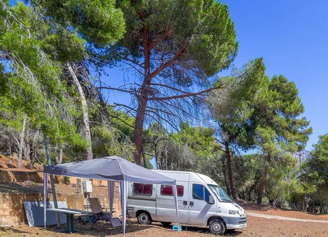 Flower Camping Torraccia 3* - 17