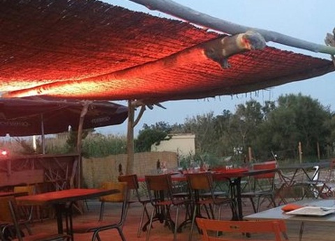 Camping Les Bois Flottés, 3* - 12