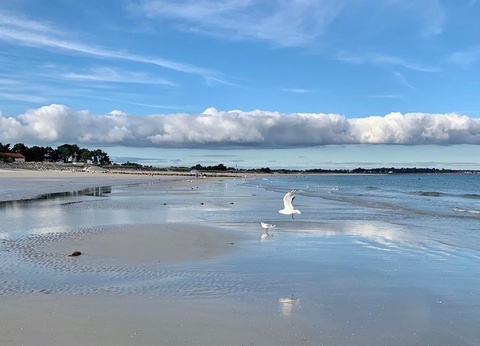 Camping Le Bois d'Amour - 4